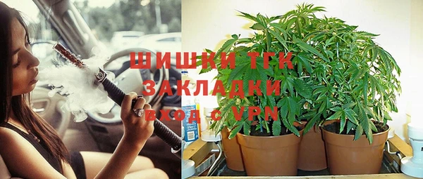 spice Алексин