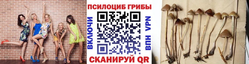 Псилоцибиновые грибы ЛСД  закладка  Бирск 